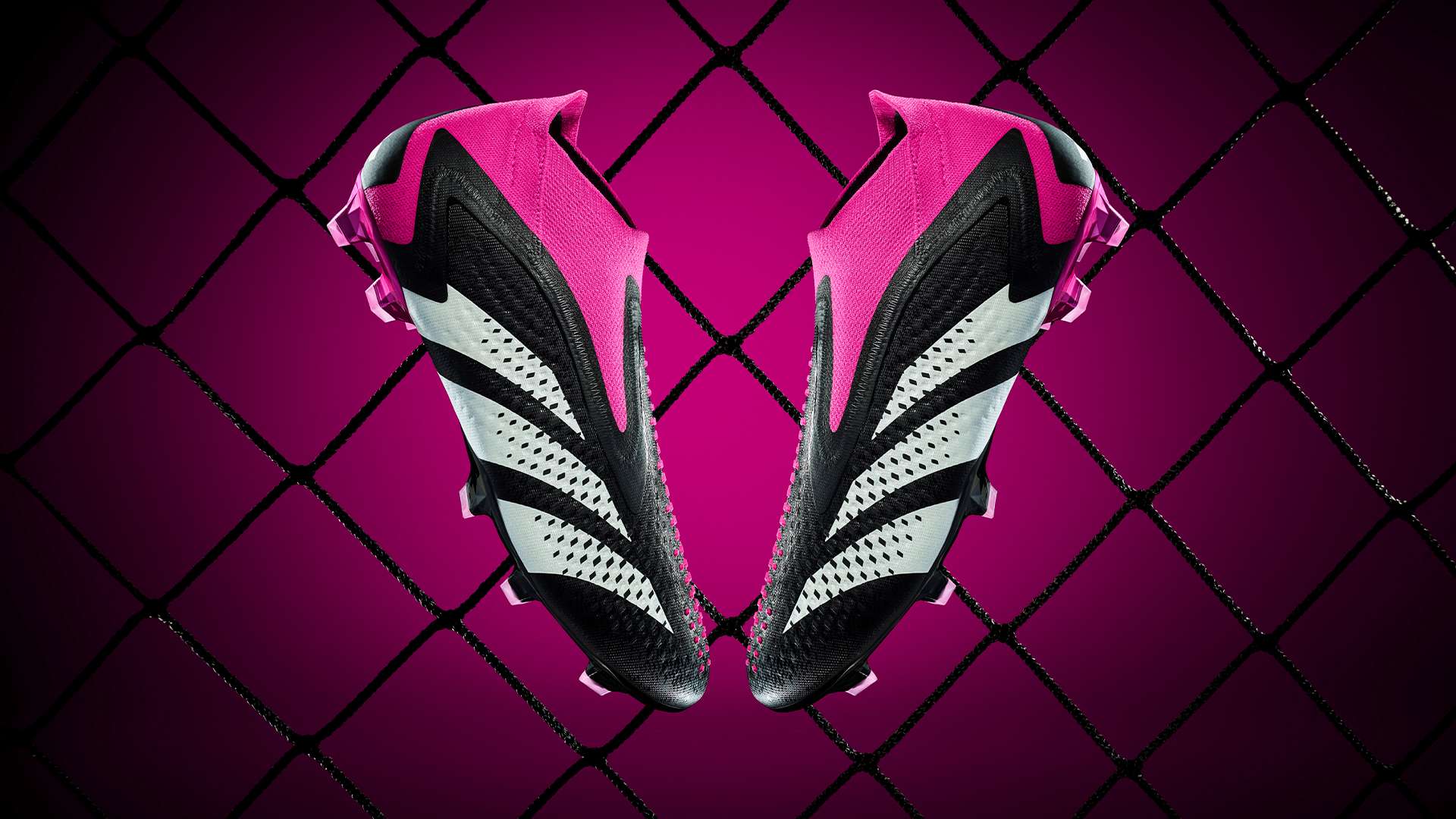 年的世界杯 年的世界杯